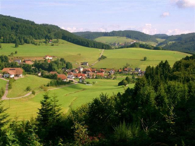Hirschen-Dorfmuehle Hotel Biederbach Exterior photo